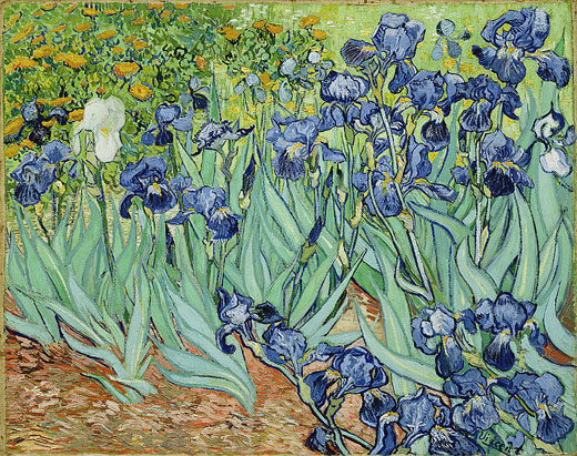 Irises by Vincent van Gogh